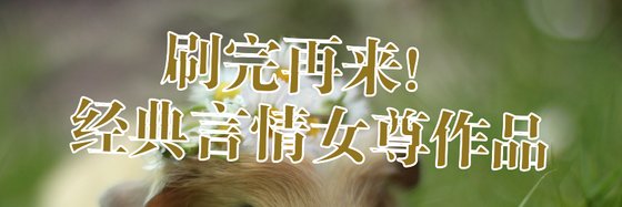 刷完再来！经典言情女尊作品